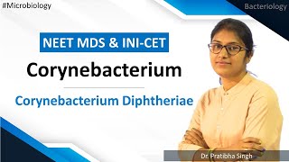 Microbiology  Bacteriology  Corynebacterium Diphtheriae  Corynebacterium  NEET MDS  INICET [upl. by Enajharas45]