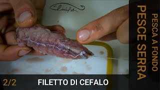 Come preparare il FILETTO DI PESCE per pescare i pesci serra [upl. by Esther]