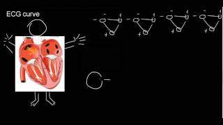 lecture 21 part 3 ECG Einthovens triangle [upl. by Cohin]