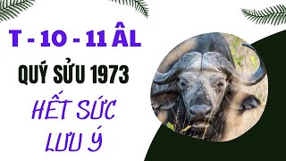 SỰ THẬT QUAN TRỌNG tuổi Quý Sửu 1973 tháng 10 11 âm lịch 2024 [upl. by Inahteb930]