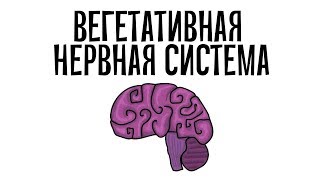 Фармакология Вегетативная нервная система простым языком [upl. by Thackeray820]