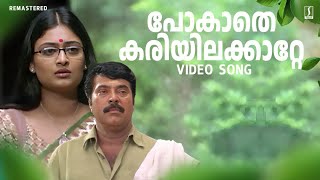 Pokathe Kariyilakkattee Video Song  Mammootty  Rappakal Movie Song  Mohan Sithara  Afsal [upl. by Ayomat718]