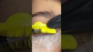 Eyelash lift lashes eyelashes eyelashlift eyelashlifting lashlifting eyelashextensions [upl. by Juback]