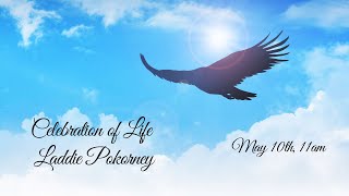 Celebration of Life  Laddie Pokorney [upl. by Hesper475]