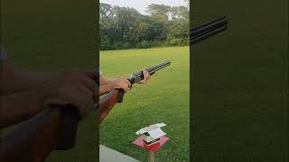 Beretta Gold E Shotgun for hunt and skeet berettavideos beretta shotgun [upl. by Newnorb794]