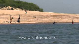 Bathing on the river banks of Chambal river Madhya Pradesh [upl. by Chance672]