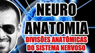 Neuroanatomia  Divisões anatômicas do Sistema Nervoso SNC SNP e SNA  VideoAula 068 [upl. by Purdum]