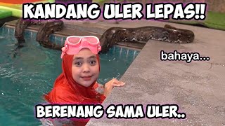 BERENANG SAMA ULER RAKSASA Yang Takut Jangan Nonton Mermaid Ekstrim [upl. by Blaine]