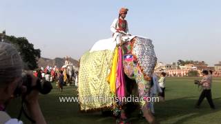 Visitors take pictures of decorated elephants during Jaipur hathi parade [upl. by Nytnerb]