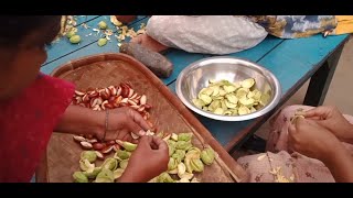 Madhuca longifolia We Call This Vegitable Queendi [upl. by Pamella548]