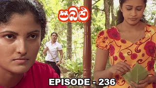 Pabalu  Episode 236 20230916 [upl. by Gnaoh]