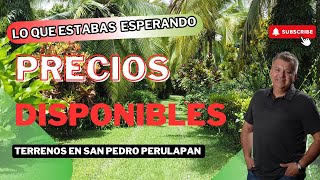 ¡YA TENEMOS PRECIOS HERMOSOS TERRENOS EN VENTA EN SAN PEDRO PERULAPÁN [upl. by Nnylimaj]