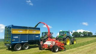 Silage silage silage Ballyspring Baby [upl. by Mloclam576]