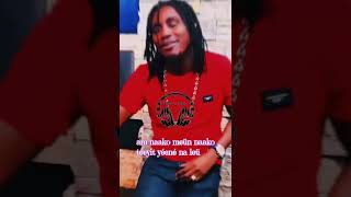 New Song Wally BSeck parolelyrics videolyrics lyrics wallyseckofficiel wally [upl. by Bittner]