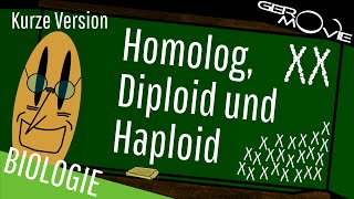 ► Homolog Diploid und Haploid  verständlich erklärt  Kurze Version [upl. by Farnsworth]