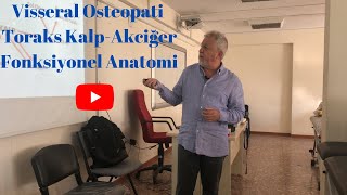 Osteopati Eğitimi  Visseral Osteopati Toraks Kalp Akciğer [upl. by Naik]