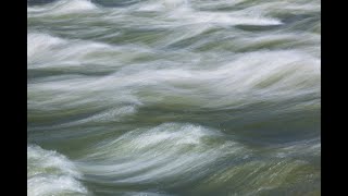 The Flow of the River 1953 by Loren C Eiseley  Essay Narration [upl. by Michaelina]