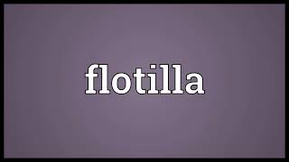 Flotilla meaning [upl. by Gina900]