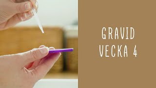 Gravid vecka 4 [upl. by Penelopa504]