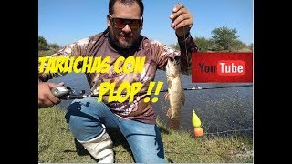 PESCA DE TARUCHAS CON BOYAS PLOP [upl. by Columbine]