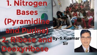 Concept of Nitrogen Bases Deoxyribose and Ribose Sugar and Phosphate medical neet [upl. by Arinaj297]