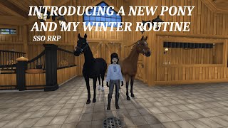 INTRODUCING A NEW PONY AND MY WINTER ROUTINE  A Star Stable Realistic Roleplay [upl. by Noe]