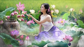 Vietnamese Music  Vietnamese Traditional Bamboo Flute  Relaxing Instrumental Music for Sleep [upl. by Barnie]