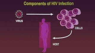 HIV A Primer [upl. by Haberman663]