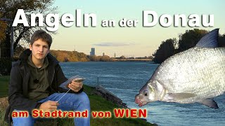 Angeln an der Donau  Fischen auf Zander und Feedern am Stadtrand von Wien in Korneuburg [upl. by Iru358]