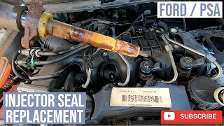 Leaking Injector Seal Replacement Ford  Peugeot  Citroen Diesel TDCI HDI [upl. by Calla664]