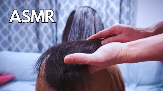 ASMR Real Person Hair Play  Hair Brushing No Talking [upl. by Ayotnahs]