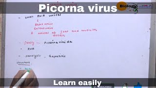 Picorna virus  biology [upl. by Ardnaskela]