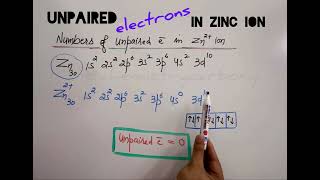 How to predict numbers of Unpaired electrons in Zinc ion  neet jee [upl. by Jules603]