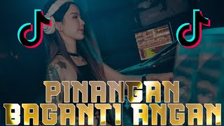 DJ PINANGAN BAGANTI ANGAN  ANGGAN ADIAK NAN DENAI RASOKAN  DJ TERBARU 2K24 [upl. by Parhe]