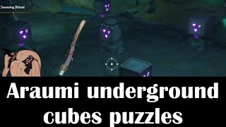 Araumi Cubes Puzzle underground Genshin impact [upl. by Salahcin]