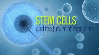 Therapeutic Stem Cell Uses 2016 IB Biology [upl. by Dickman]