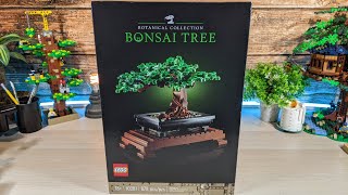 LEGO Botanical Collection Bonsai Tree 20281 🎧 Pure Builds [upl. by Bazluke]