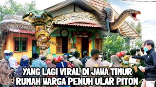 Viral  Warga Beramairamai Melihat Rumah Penuh Ular Piton Berukuran Raksasa [upl. by Uticas]