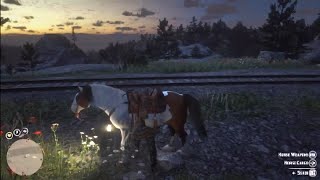 Red Dead Redemption 2 Online  Trickery Afoot [upl. by Yregram]