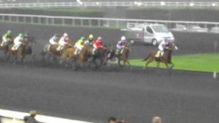 Hippodrome de Vincennes Paris  Horse Racing Monte [upl. by Buddy749]