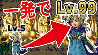 【DQ5】たった一回の戦闘でレベルをカンストさせたい！【検証】 [upl. by Assiled414]