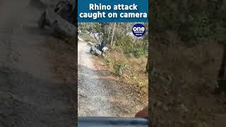 Rhino attack caught onlookers by surprise Watch  Oneindia News [upl. by Burger]