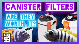 Canister Filters Worth the investment [upl. by Elolcin226]