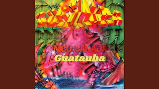 Guatauba Mix [upl. by Atwood510]