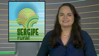 SERGIPE RURAL  PROGRAMA 457 [upl. by Dela]