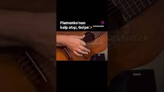 Flamenko’nun Kalp Atışı GOLPE Bu teknikle gitarın sadece tellerden ibaret olmadığını keşfet [upl. by Till480]