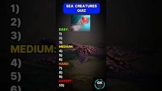 Find the Name  Sea Creatures Quiz quizquiz quiz quiztime quizgames quizchallenge [upl. by Oludoet69]