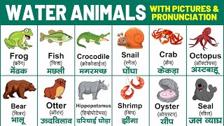 Water animals with spelling  Sea animals pronunciation  water animals name with picture [upl. by Hildagard596]