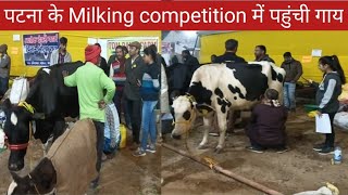 पटना milking Competition में पहुंची ये सभी गाय।।gangatiri cow।। Hf Cross Cow।।Bihar dairy form [upl. by Edva234]