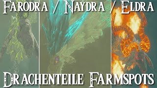 Farodra Naydra amp Eldra Farmspots in Zelda BotW [upl. by Yrrol]